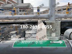 污水处理泥膜耦合强化生物工艺